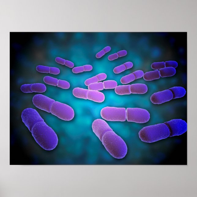 Affiches Vue Microscopique De Listeria Monocytogenes 5 (Devant)