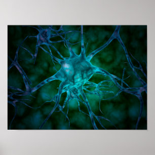 Affiches Vue Microscopique De Plusieurs Cellules Nerveuses