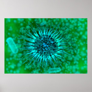 Affiches Vue Microscopique Des Dendrimers 3