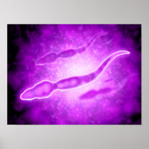 Affiches Vue microscopique des spermatozoïdes masculins