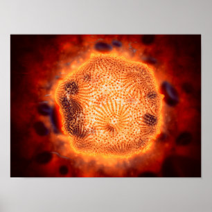 Affiches Vue Microscopique Du Parvovirus Canin 4