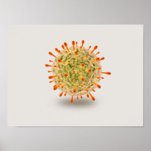 Affiches Vue microscopique du virus du herpès 2