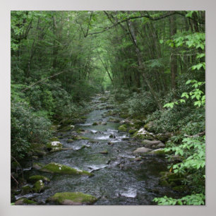 Affiches Vue sur la rivière Oconuluftee