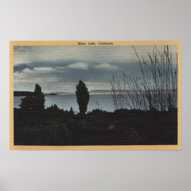 Affiches Vue sur le lac Mono (Devant)