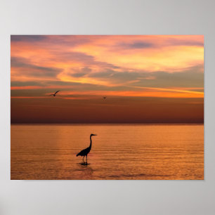 Affiches Vue sur l'océan au coucher du soleil