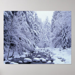 Affiches WA, forêt nationale du mont Baker-Snoqualmie,