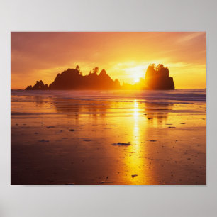 Affiches WA, parc national Olympique, plage Shi Shi au couc