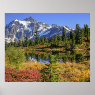 Affiches WA, zone de loisirs de Heather Meadows, Mt. 2