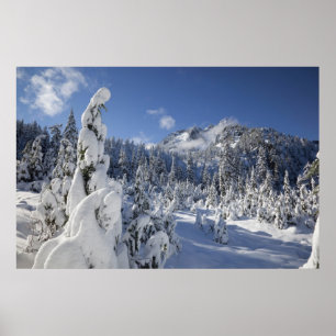 Affiches WA, zone sauvage Alpine Lakes, bassin du lac Snow