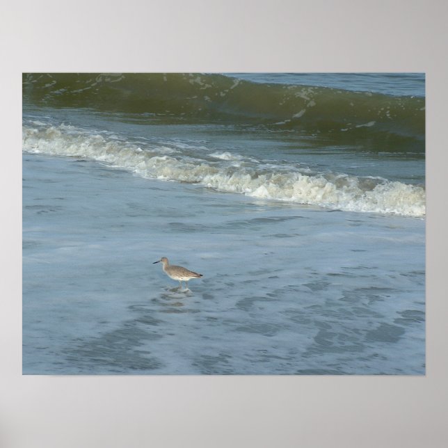 Affiches Wader (Devant)