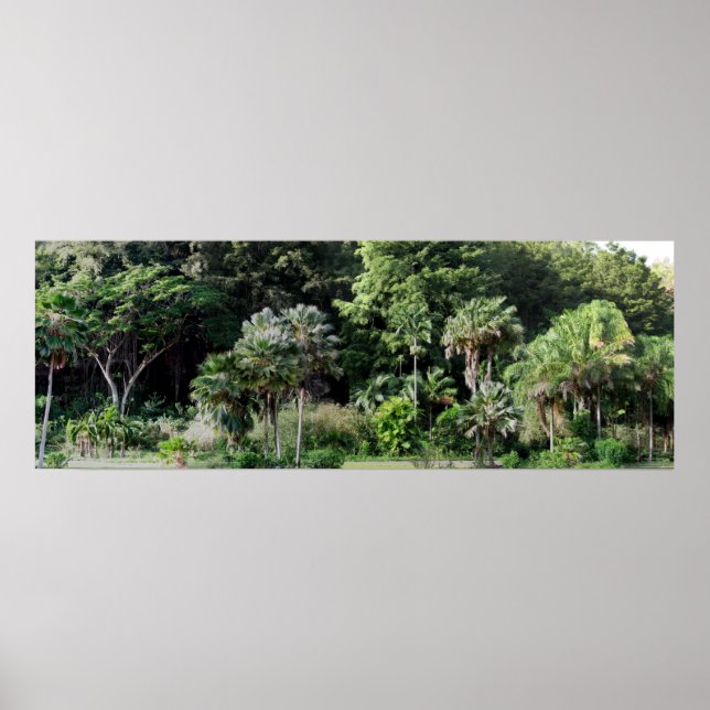 Affiches Waimea Falls Park (Devant)