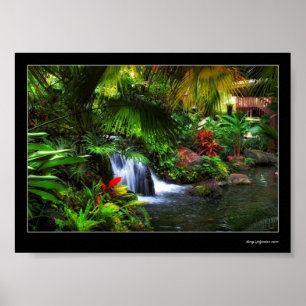 Affiches waitingforluau