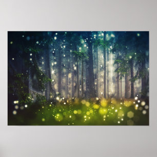 Affiches Wald, Bäume auf Waldlichtung, Dämmerung