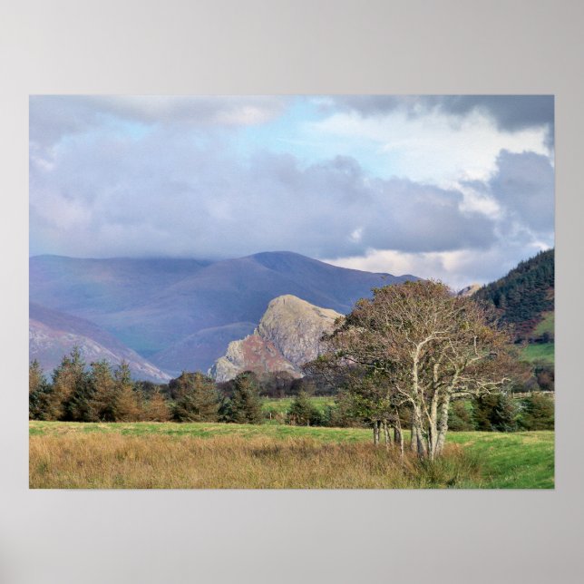 AFFICHES WALES (Devant)