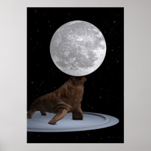 Affiches Walrus Équilibrer La Lune