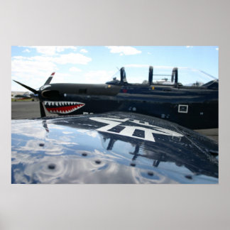 Affiches Warbird