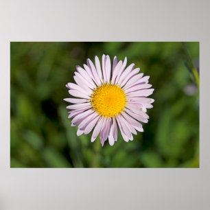 Affiches Washington, chaîne Cascade, Mont Baker