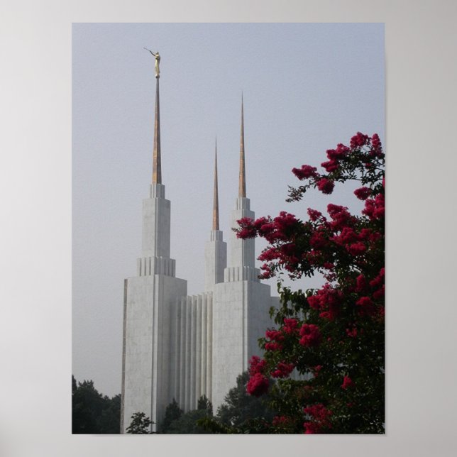 Affiches Washington DC (Devant)