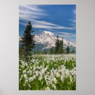 Affiches Washington, Parc national du mont Rainier 1