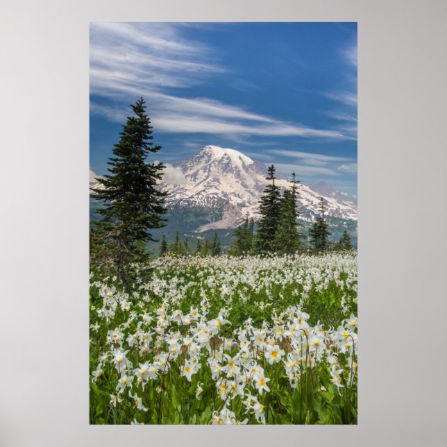Affiches Washington, Parc national du Mont Rainier 1 (Devant)