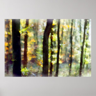 Affiches Watery Woods