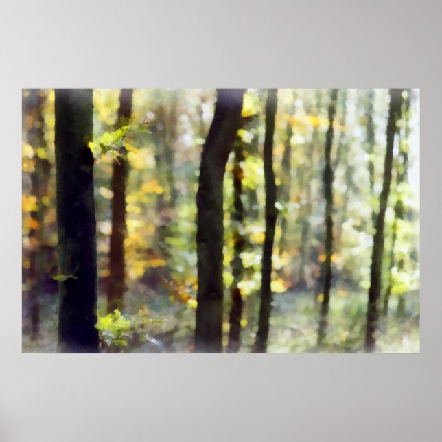 Affiches Watery Woods (Devant)