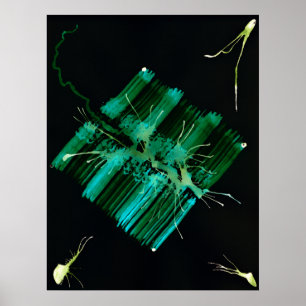 Affiches WDV - 059 - Recherche
