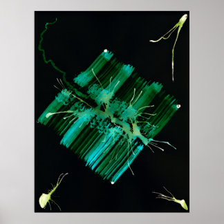 Affiches WDV - 059 - Recherche