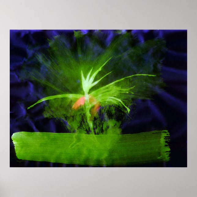 Affiches WDV - 068 - Fleur (Devant)