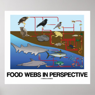 Affiches Webs Alimentaires En Perspective (Océan / Biologie