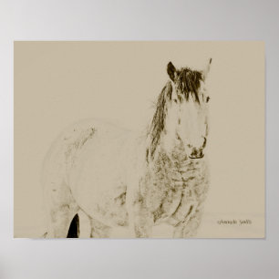 Affiches western art horse print, rétro, cadeau vintage 11x