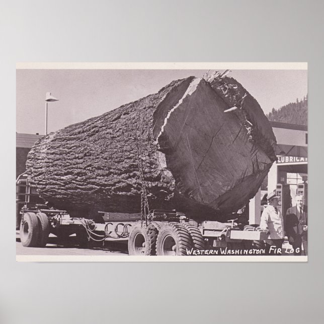 Affiches Western Washington Fir Log vers 1940 (Devant)
