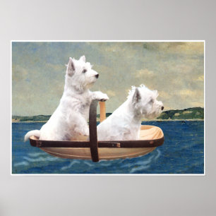 Affiches Westies prennent la mer