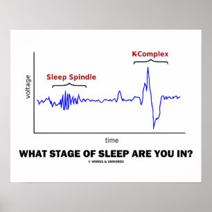 Affiches What Stage Of Sleep Are You In?