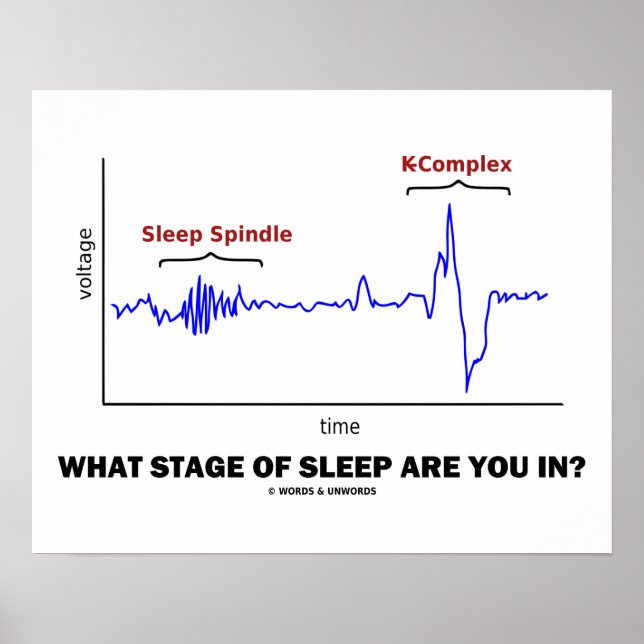 Affiches What Stage Of Sleep Are You In? (Devant)
