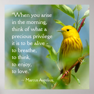 Affiches When You Arise Marcus Aurelius Inspiration Quote