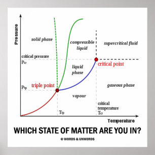 Affiches Which State Of Matter Are You In? (Chemistry)