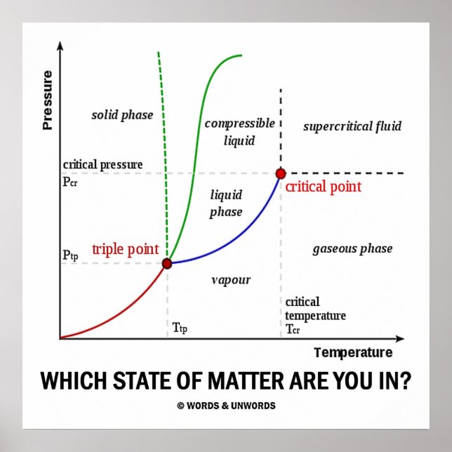 Affiches Which State Of Matter Are You In? (Chemistry) (Devant)