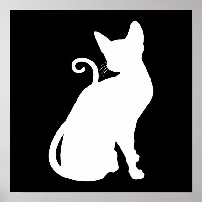 Affiches White House Cat (Devant)