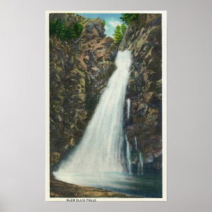 Affiches White Mountains Nat'l Forest