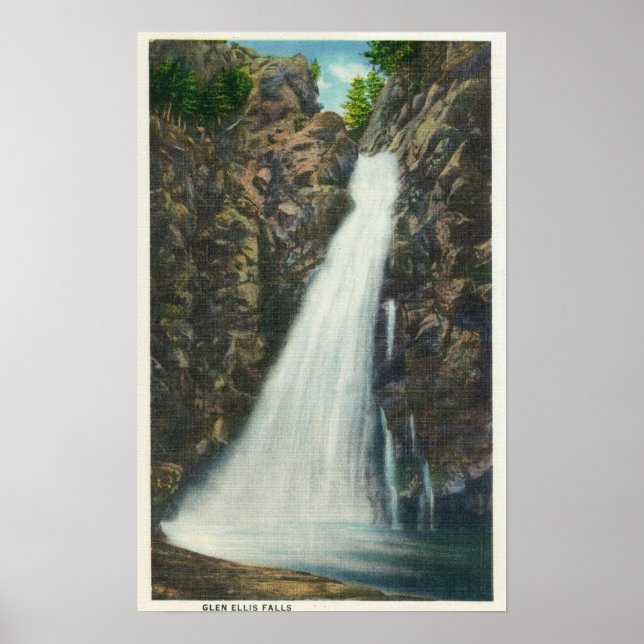 Affiches White Mountains Nat'l Forest (Devant)