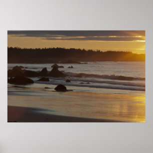 Affiches White Point Summer Sunrise