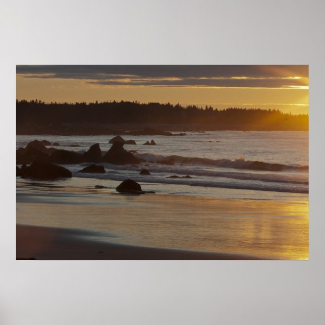 Affiches White Point Summer Sunrise (Devant)
