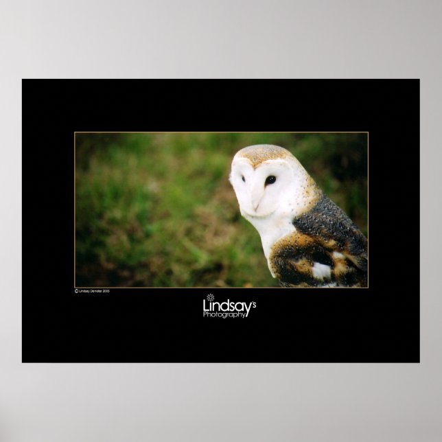 Affiches Whooie (Devant)