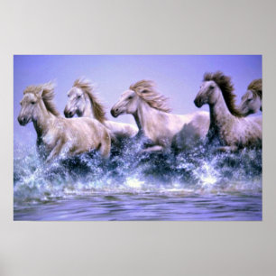 Affiches Wild and free, Camargue Horses