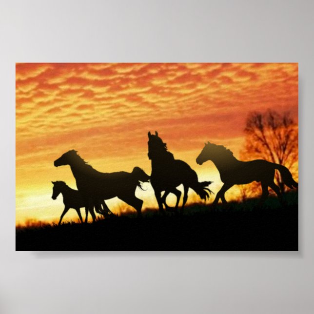 Affiches Wild Mustangs (Devant)