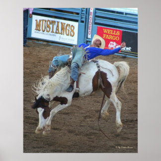 Affiches Wild Ride - Reno Rodeo 2010