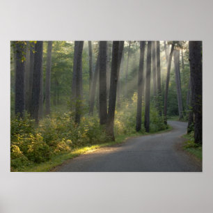 Affiches Wilderness Drive, Itasca State Park,