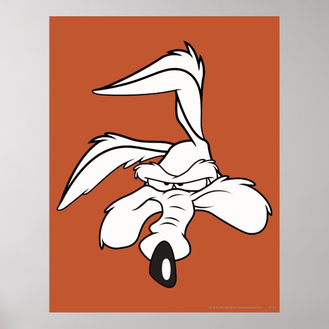 Affiches Wile E. Coyote (Devant)