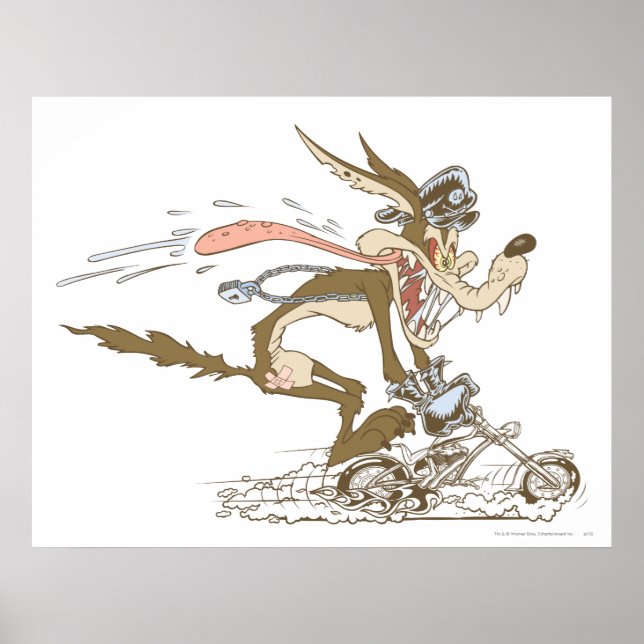 Affiches Wile E. Coyote Cycle Racer (Devant)
